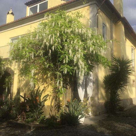 Casa Magnolia Villa Braga Eksteriør bilde